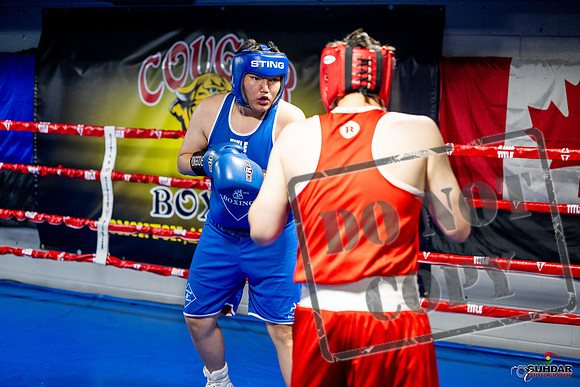 Cougar boxing June 7th 2025-0711