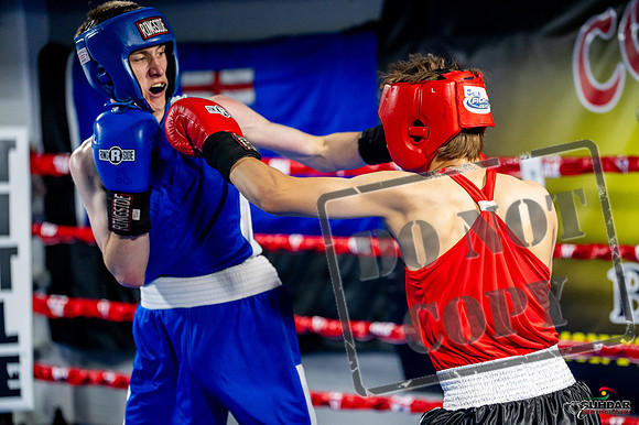 Cougar boxing June 7th 2025-0810