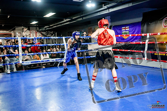 Cougar Boxing Basement Brawl -0003