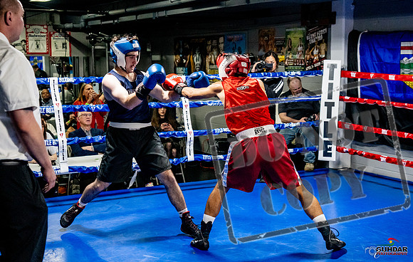 Cougar Boxing Basement Brawl -0372