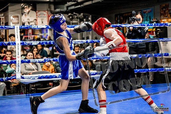 Cougar Boxing Basement Brawl -0019