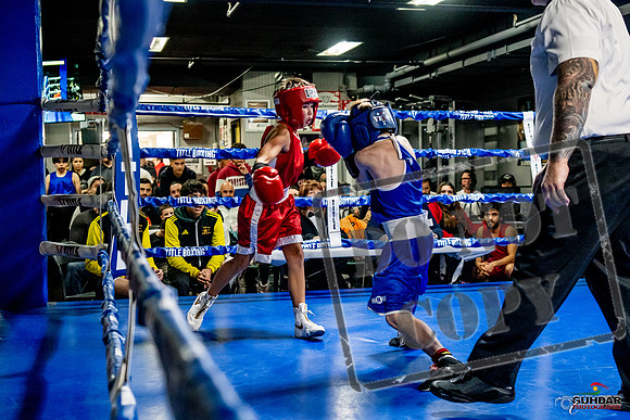Cougar Boxing Basement Brawl -0069