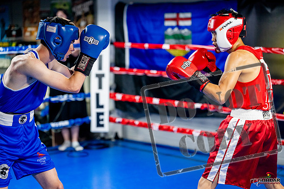 Cougar boxing June 7th 2025-0117