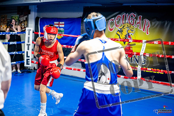 Cougar boxing June 7th 2025-0099