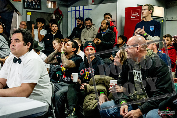 Cougar Boxing Basement Brawl -0065