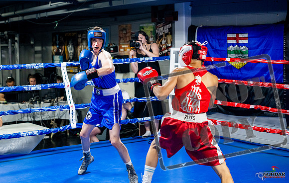 Cougar boxing June 7th 2025-0104