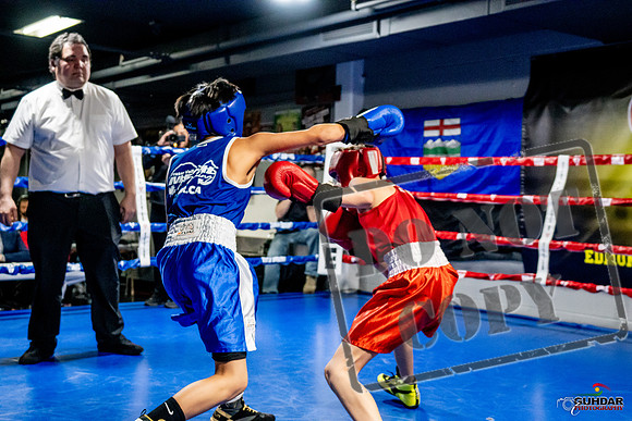 Cougar Boxing Basement Brawl -0249