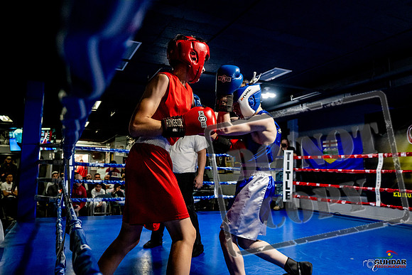 Cougar Boxing Basement Brawl -0184