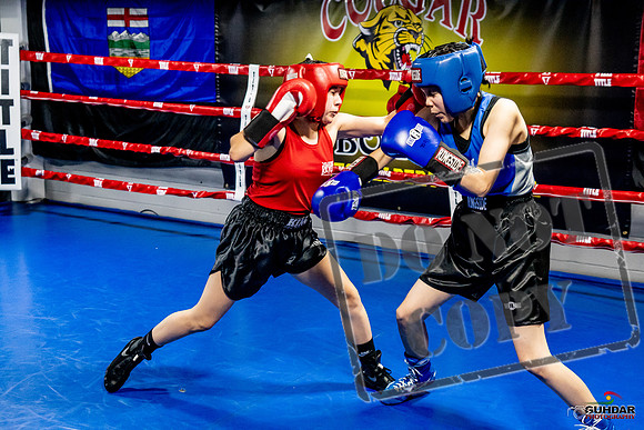 Cougar Boxing Basement Brawl -0561