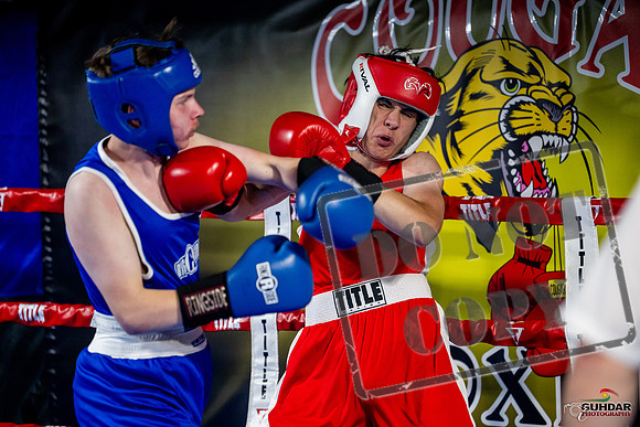 Cougar boxing June 7th 2025-0870