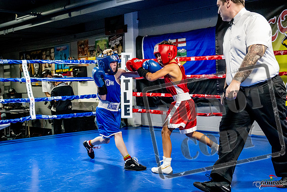 Cougar Boxing Basement Brawl -0094