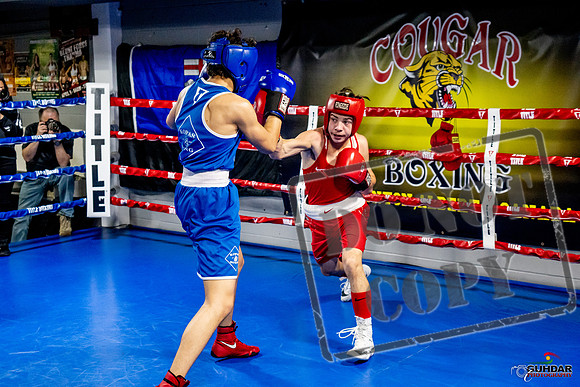 Cougar Boxing Basement Brawl -0445