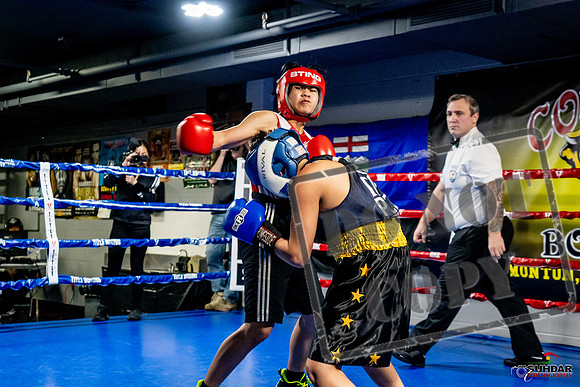 Cougar Boxing Basement Brawl -0300