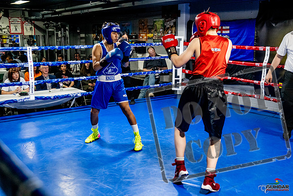 Cougar Boxing Basement Brawl -0516