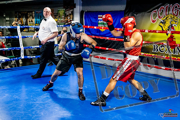 Cougar Boxing Basement Brawl -0358