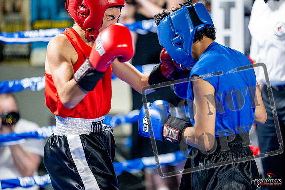 Cougar boxing June 7th 2025-0179