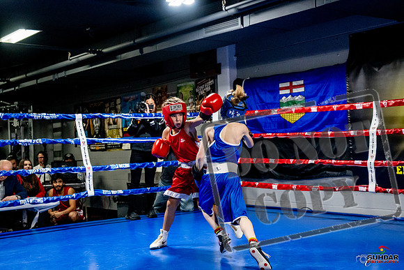Cougar Boxing Basement Brawl -0089