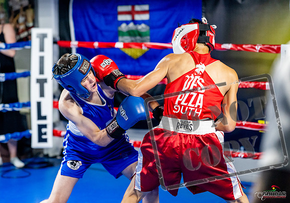 Cougar boxing June 7th 2025-0111