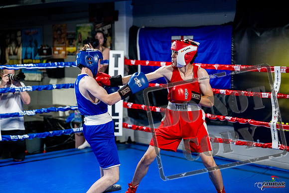 Cougar boxing June 7th 2025-0868