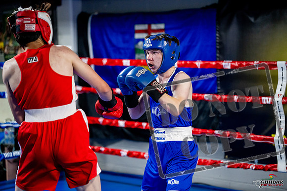 Cougar boxing June 7th 2025-0896