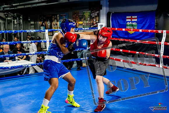 Cougar Boxing Basement Brawl -0518