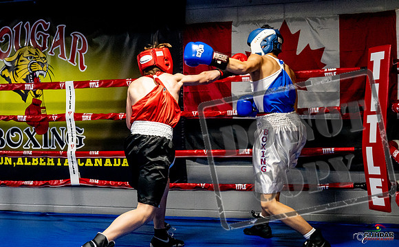 Cougar Boxing Basement Brawl -0158