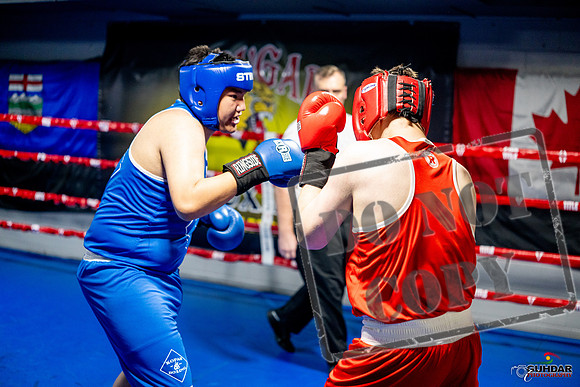 Cougar boxing June 7th 2025-0719