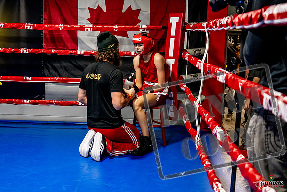 Cougar Boxing Basement Brawl -0578