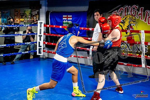 Cougar Boxing Basement Brawl -0530
