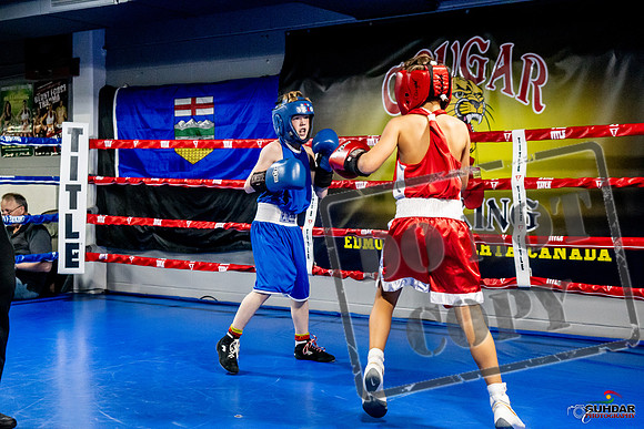 Cougar Boxing Basement Brawl -0088