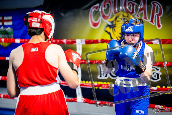 Cougar boxing June 7th 2025-0871