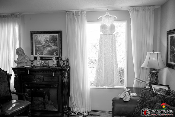 Shay & Rosando wedding June 15 2019 -0007