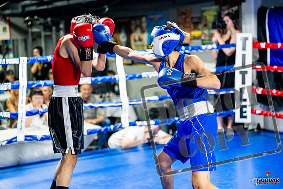 Cougar boxing June 7th 2025-0655