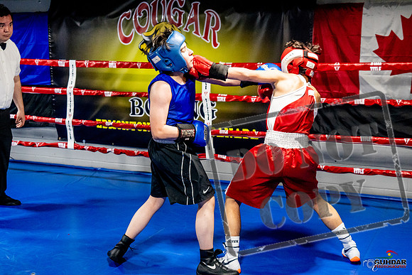 Cougar Boxing Basement Brawl -0498