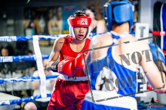 Cougar boxing June 7th 2025-0137