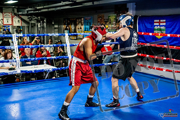 Cougar Boxing Basement Brawl -0374