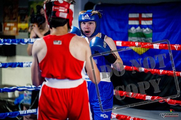 Cougar boxing June 7th 2025-0900