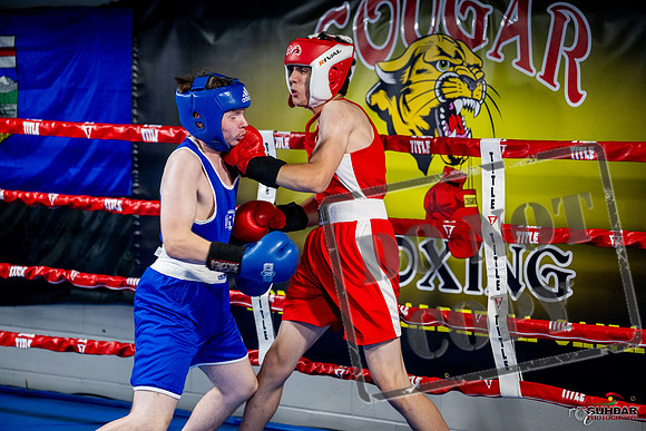 Cougar boxing June 7th 2025-0869