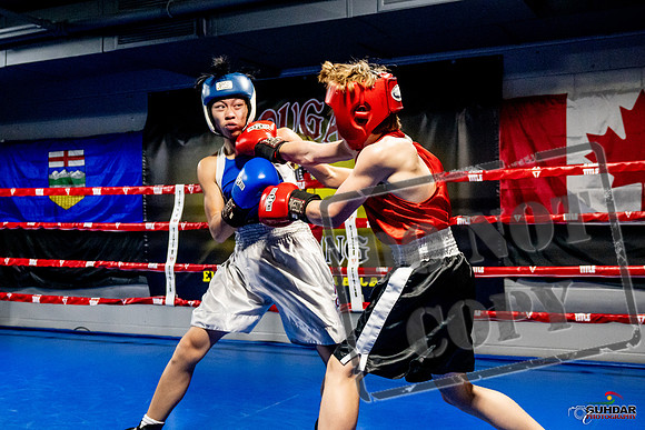 Cougar Boxing Basement Brawl -0169