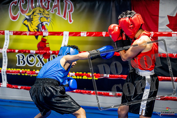 Cougar boxing June 7th 2025-0225