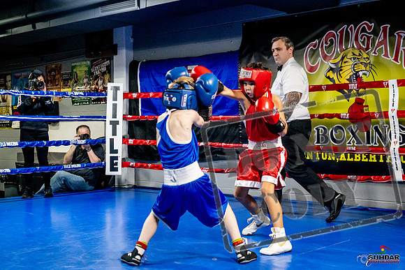 Cougar Boxing Basement Brawl -0087