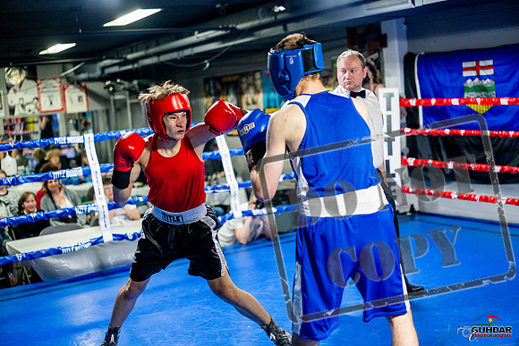 Cougar boxing June 7th 2025-0812