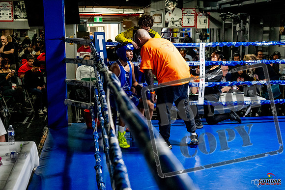 Cougar Boxing Basement Brawl -0531