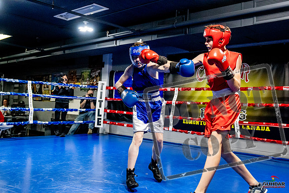 Cougar Boxing Basement Brawl -0194