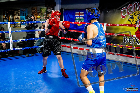 Cougar Boxing Basement Brawl -0532