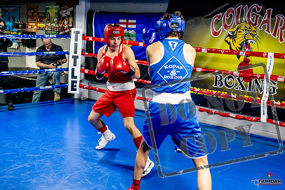 Cougar Boxing Basement Brawl -0437