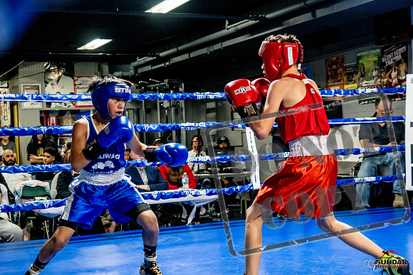 Cougar Boxing Basement Brawl -0259