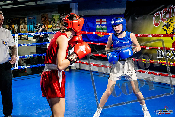 Cougar Boxing Basement Brawl -0589