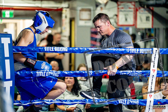 Cougar boxing June 7th 2025-0645