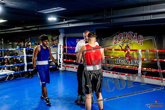 Cougar Boxing Basement Brawl -0642